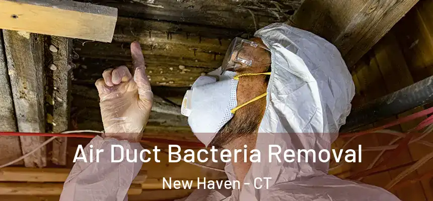  Air Duct Bacteria Removal New Haven - CT