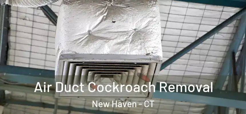  Air Duct Cockroach Removal New Haven - CT