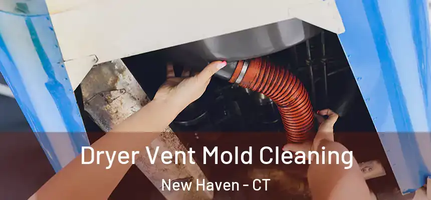Dryer Vent Mold Cleaning New Haven - CT