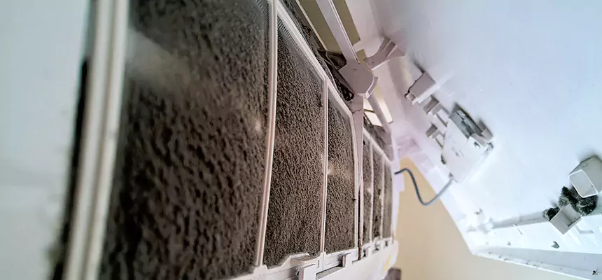 Preventive Air Duct Bacteria Removal in New Haven