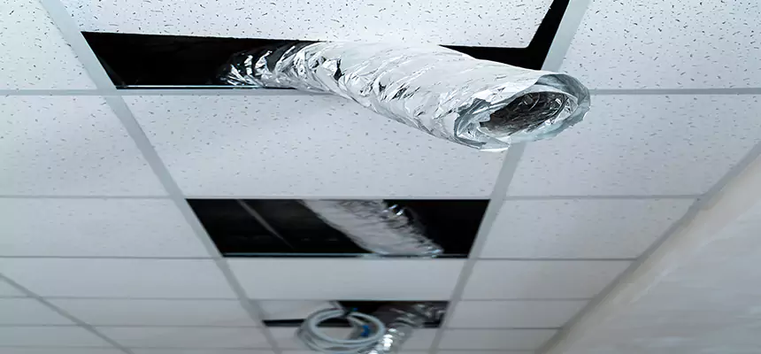 Our Air Duct Pet Hair Removal Services in New Haven, CT