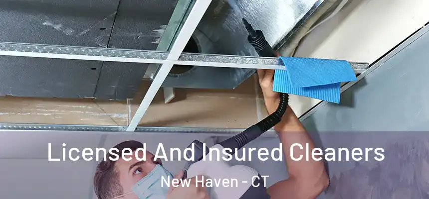  Licensed And Insured Cleaners New Haven - CT