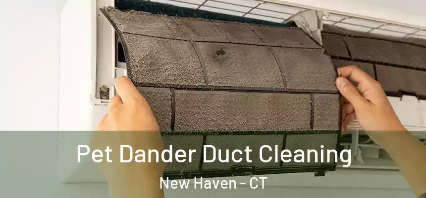  Pet Dander Duct Cleaning New Haven - CT
