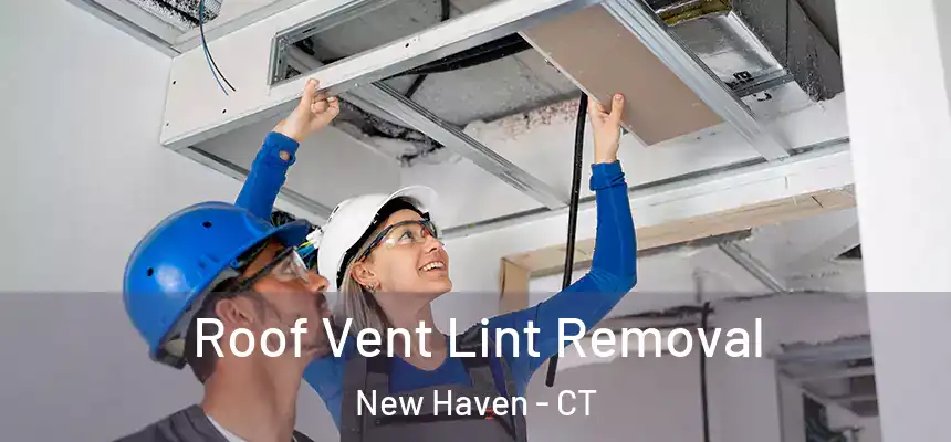 Roof Vent Lint Removal New Haven - CT