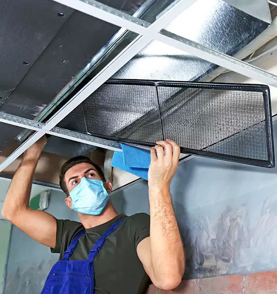 About Air Duct Bacteria Removal in New Haven