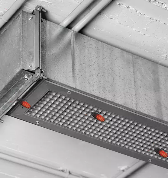 About Air Duct Cockroach Removal in New Haven, CT