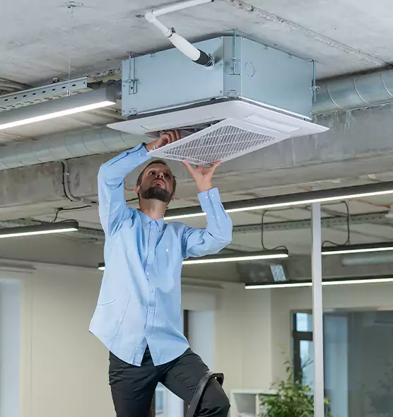 Advanced Rodent Droppings In Vents in New Haven, CT