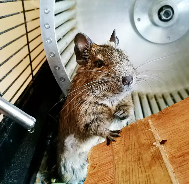 Why Homeowners & Businesses Trust Us New Haven, CT?