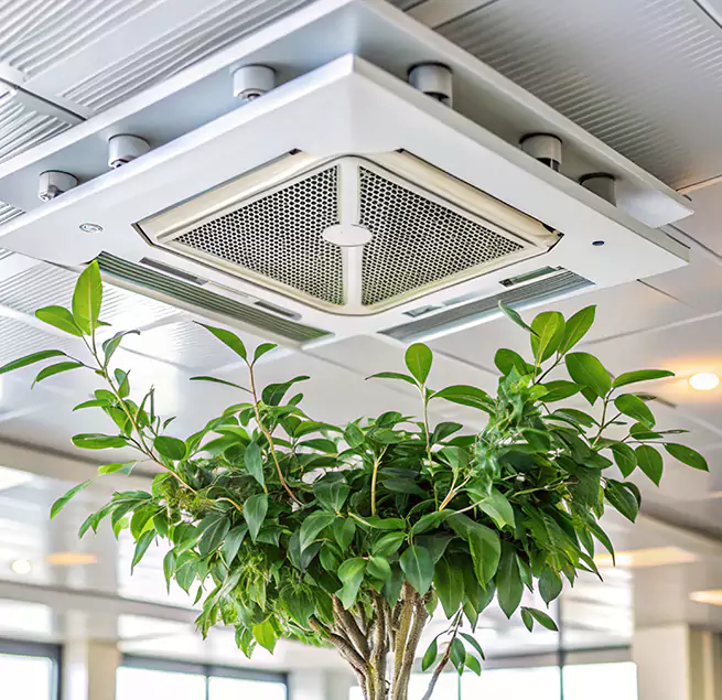 Why Homeowners & Businesses Trust Us in New Haven, CT